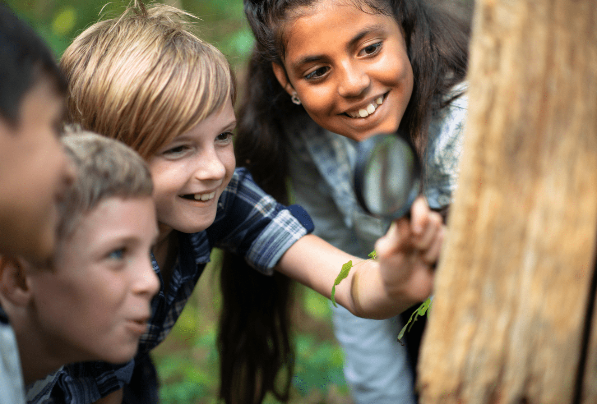 Eco Explorers: Wonderful World of Water