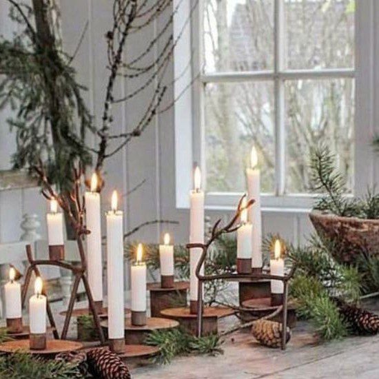 Rooted in Wellness: Eco-Friendly Holidays