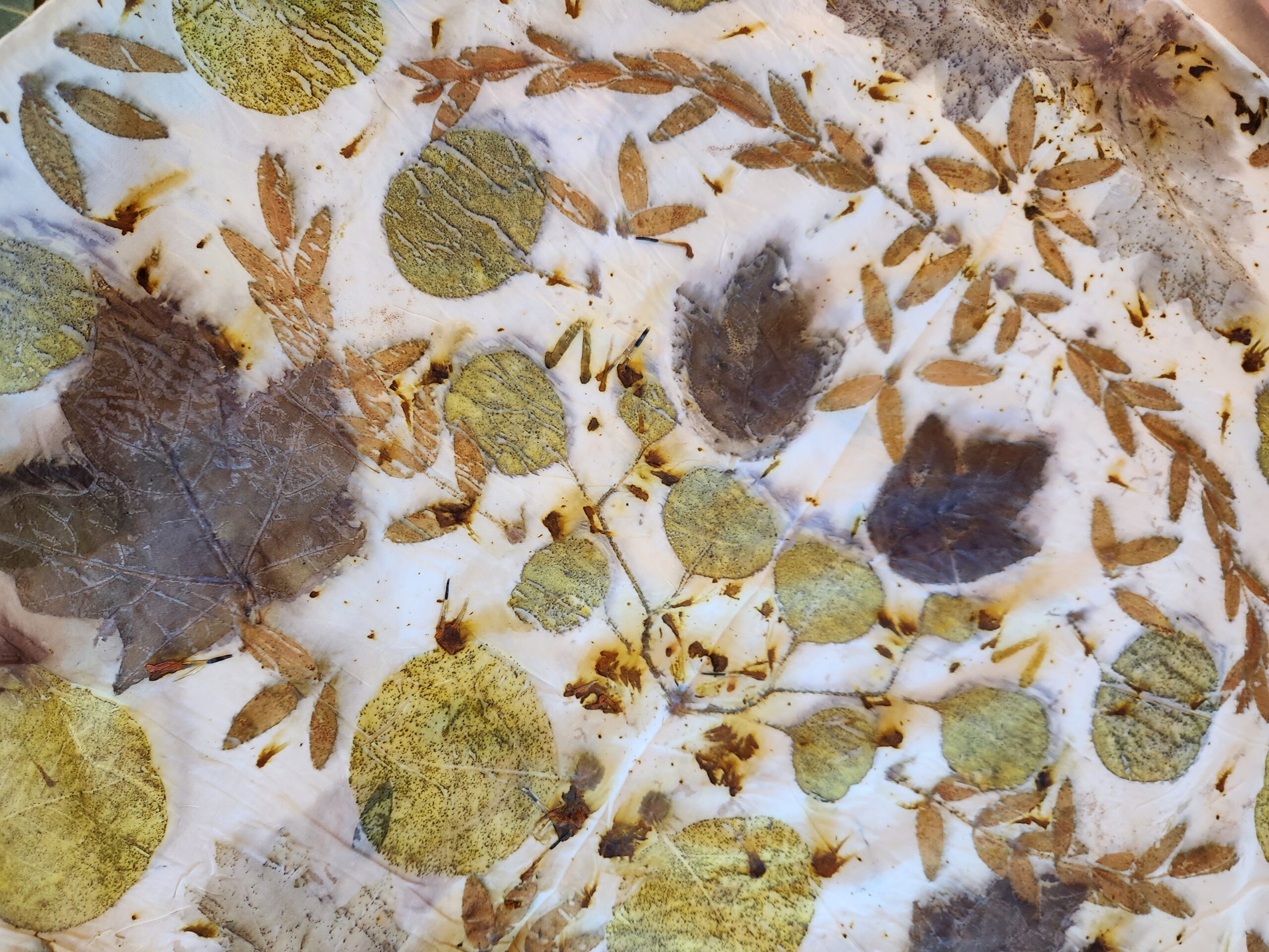 Wrapped with Nature: Botanical Holiday Ribbon Dyeing